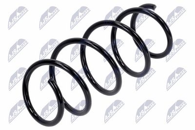 Suspension Spring NTY ASZ-RE-031