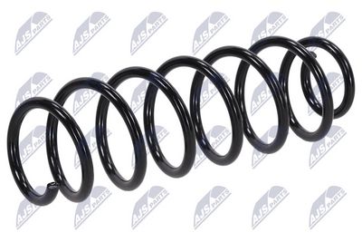 Suspension Spring NTY ASZ-RE-034