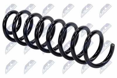 Suspension Spring NTY ASZ-RE-035