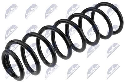Suspension Spring NTY ASZ-RE-036