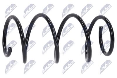 Suspension Spring NTY ASZ-RE-038