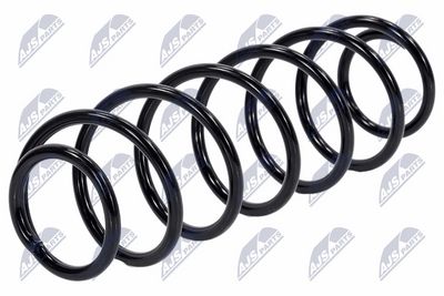 Suspension Spring NTY ASZ-RE-045