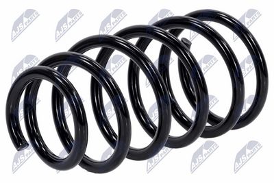 Suspension Spring NTY ASZ-RE-052