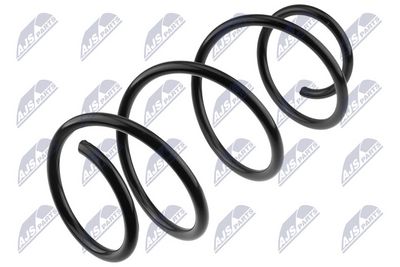Suspension Spring NTY ASZ-RE-053