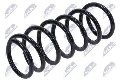 Suspension Spring NTY ASZ-VV-001