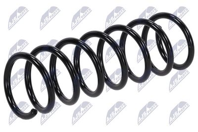Suspension Spring NTY ASZ-VV-012