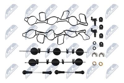 Intake Manifold Module NTY BKS-AU-001A