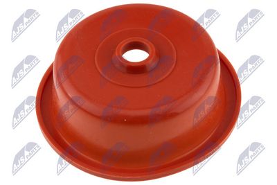 Intake Manifold Module NTY BKS-AU-016