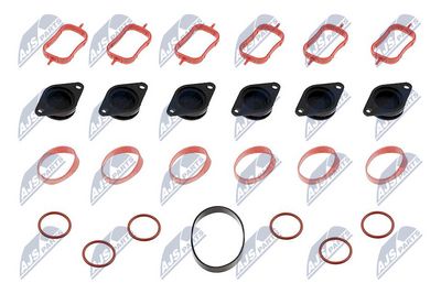 Intake Manifold Module NTY BKS-BM-011A