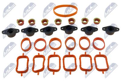 Intake Manifold Module NTY BKS-BM-012A