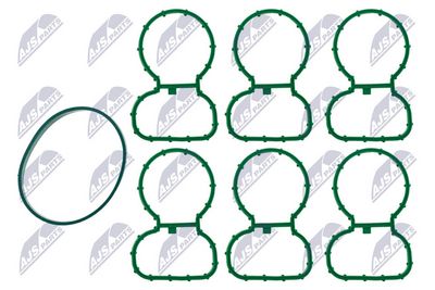 Gasket Set, intake manifold NTY BKS-BM-038A