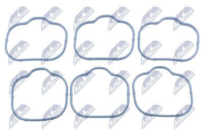 Gasket, intake manifold NTY BKS-CH-003A