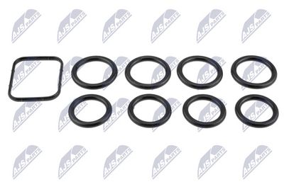 Gasket Set, intake manifold NTY BKS-CT-003