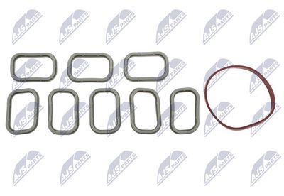 Gasket Set, intake manifold NTY BKS-FR-008A