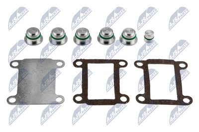 Intake Manifold Module NTY BKS-FT-005A