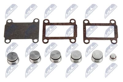 Repair Kit, intake manifold module NTY BKS-FT-007