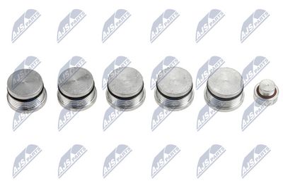 Repair Kit, intake manifold module NTY BKS-FT-008