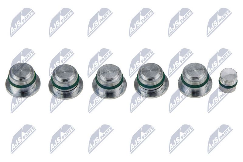 NTY BKS-FT-009 Intake Manifold Module