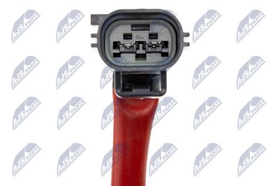 Injection Unit, soot/particulate filter regeneration NTY BWP-CT-001