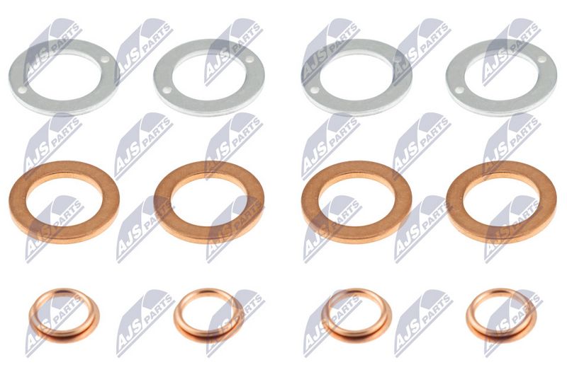 NTY BWP-MS-001 Seal Ring, injector