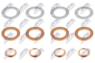 Seal Ring, injector NTY BWP-MS-001