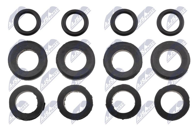 NTY BWP-MZ-001 Seal Ring, injector
