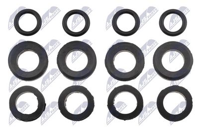 Seal Ring, injector NTY BWP-MZ-001