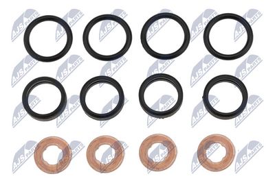 Seal Kit, injector nozzle NTY BWP-PL-003