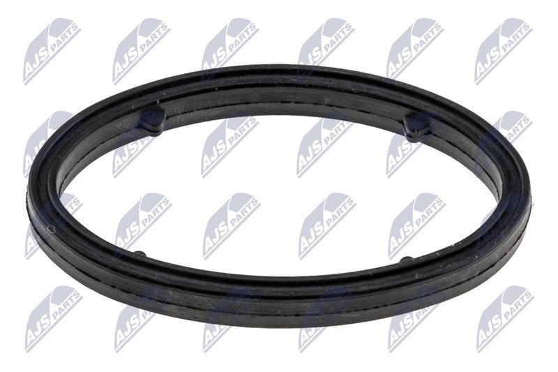 NTY CCL-DW-004 Gasket, oil cooler
