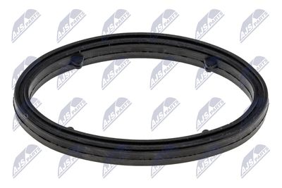 Gasket, oil cooler NTY CCL-DW-004
