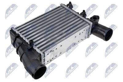 Charge Air Cooler NTY CNG-AU-015