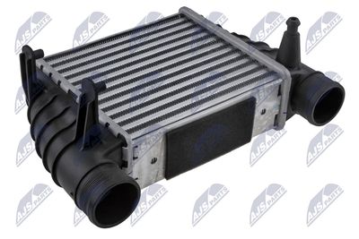 Charge Air Cooler NTY CNG-AU-031
