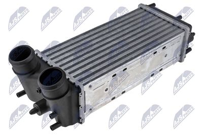 Charge Air Cooler NTY CNG-FR-015