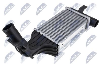 Charge Air Cooler NTY CNG-PL-003