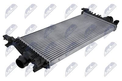 Charge Air Cooler NTY CNG-PL-018
