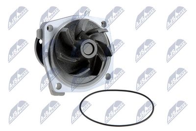 Water Pump, engine cooling NTY CPW-CH-008