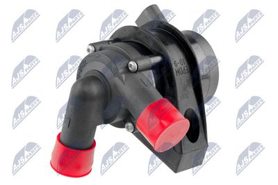 Auxiliary Water Pump (cooling water circuit) NTY CPZ-AU-013