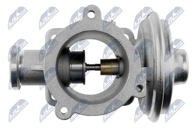 EGR Valve NTY EGR-BM-003
