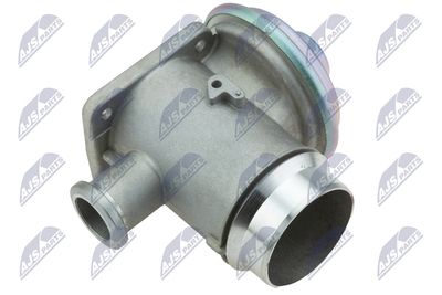 EGR Valve NTY EGR-BM-007