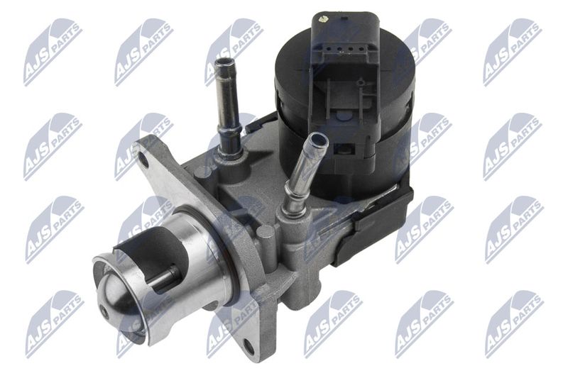 NTY EGR-BM-009 EGR Valve
