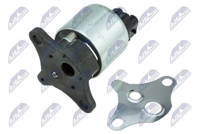 EGR Valve NTY EGR-CH-008
