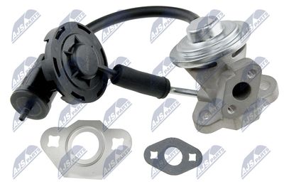 EGR Valve NTY EGR-CH-009