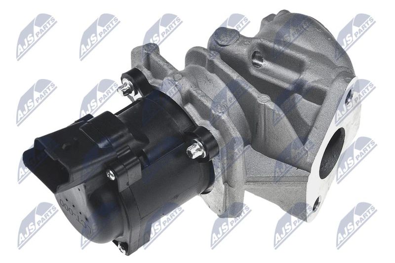 NTY EGR-CT-000 EGR Valve