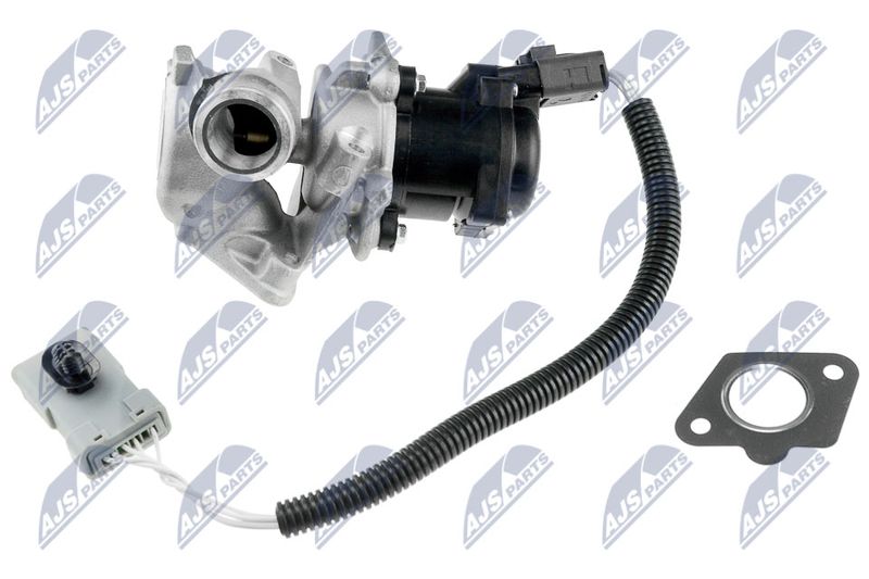 NTY EGR-FR-001 EGR Valve