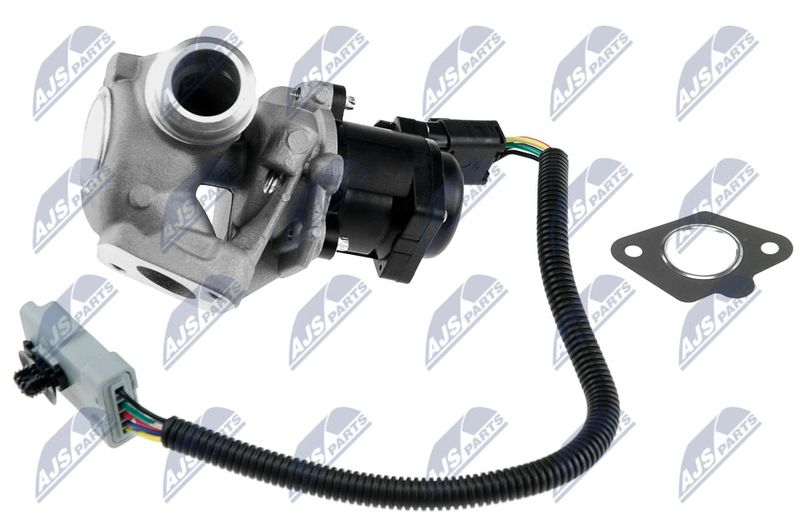 NTY EGR-FR-005 EGR Valve