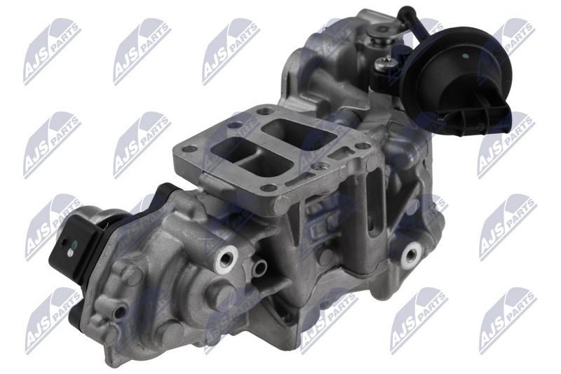 NTY EGR-FR-034 EGR Valve