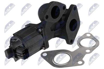 EGR Valve NTY EGR-IS-001