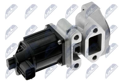EGR Valve NTY EGR-MS-005