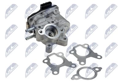 EGR Valve NTY EGR-NS-007