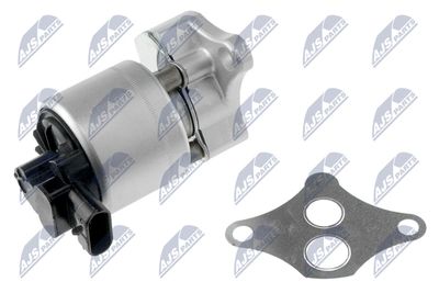 EGR Valve NTY EGR-PE-000